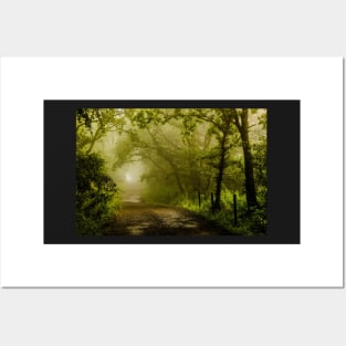 Misty Woodland Lane Posters and Art